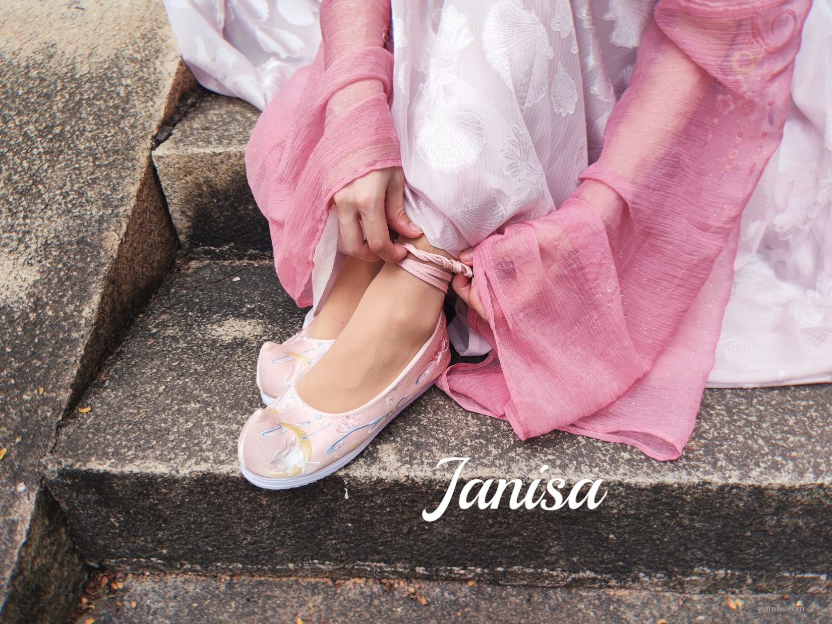 ɫŮд  Janisa ˽ͼ 1ҳ