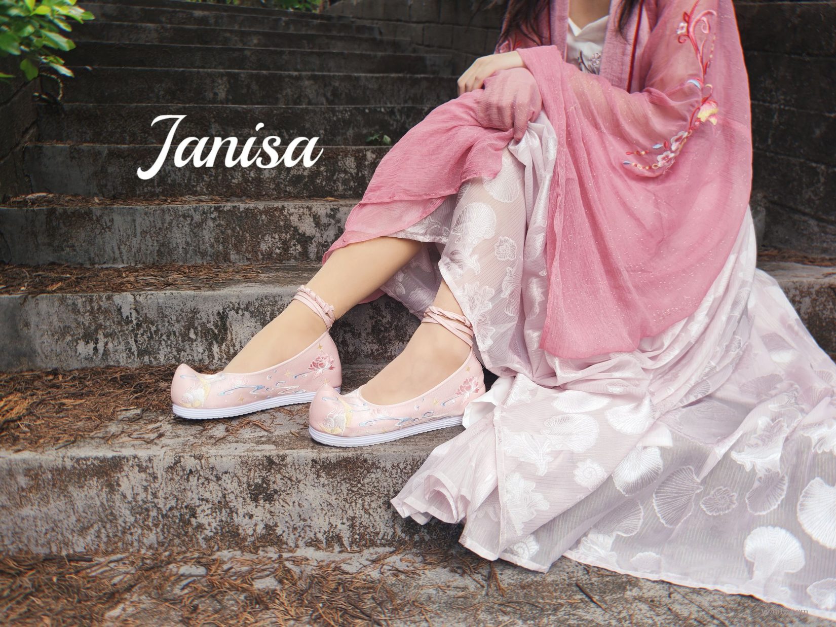 ɫŮд  Janisa ˽ͼ 1ҳ