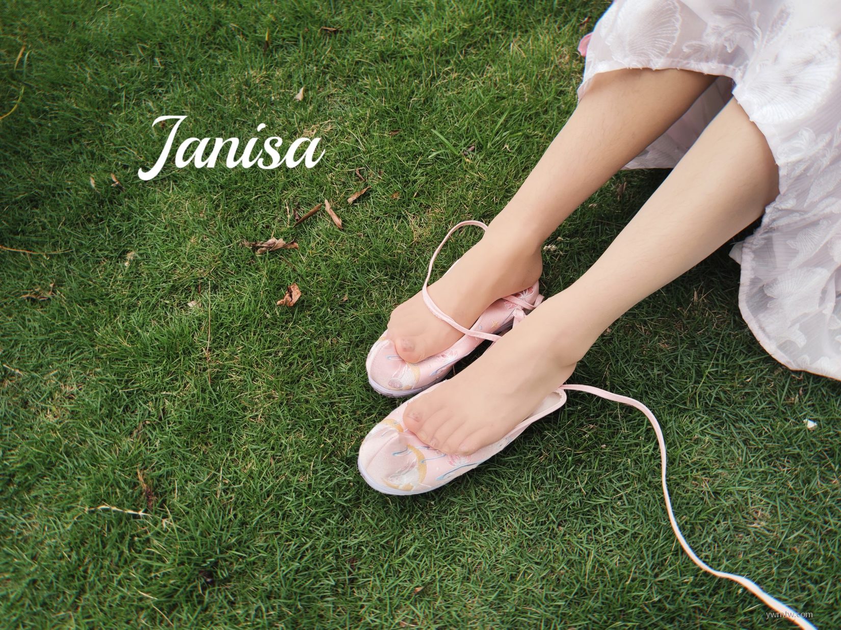 ɫŮд  Janisa ˽ͼ 1ҳ